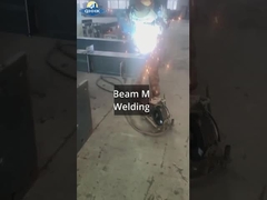 โรงงานผลิตเหล็กศรีลังกา พร้อมโครงการเครน